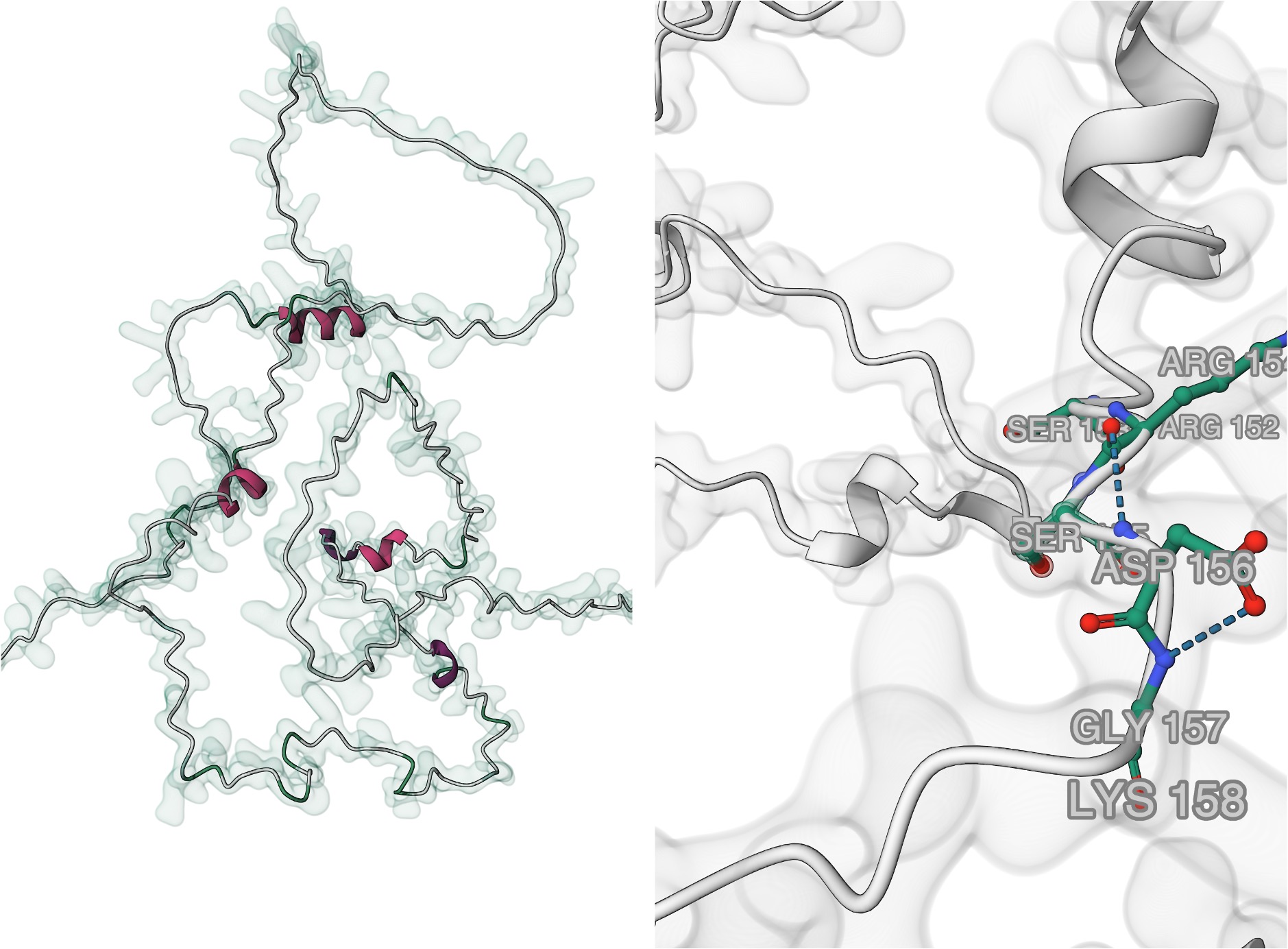 DUF1645 Protein Structure